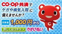 【生協公式】コープ・生協のお弁当宅配はじめませんか